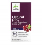 Terry Naturally  法國葡萄籽萃取 300mg*60顆 - Grape Seed Extract VX1® 高吸收/花青素