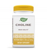   Nature's Way  膽鹼   500mg*100錠 - Choline 