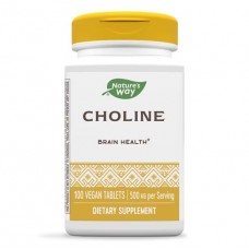   Nature's Way  膽鹼   500mg*100錠 - Choline 