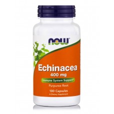 NOW Foods 紫錐花 ( 紫錐菊) 400 mg* 100顆~Echinacea Purpurea Root