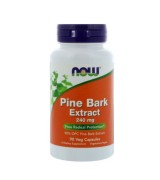  NOW Foods   松樹皮萃取菁華 添加綠茶 240mg*90顆素食膠囊~Pine Bark Extract