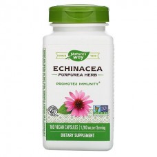   Nature's Way   紫錐花 (紫錐菊)  400mg*180顆 - Echinacea Purpurea Herb