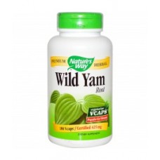   Nature's Way  野生山藥  425 mg*180顆 - Wild Yam Root